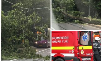 Furtuna de luni seară a făcut ravagii în Cluj: copac căzut pe linia de tramvai și acoperiș smuls de vânt
