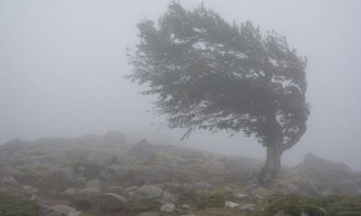 Vine furtuna! RO-ALERT emis pentru tot județul Cluj din cauza vijeliilor puternice