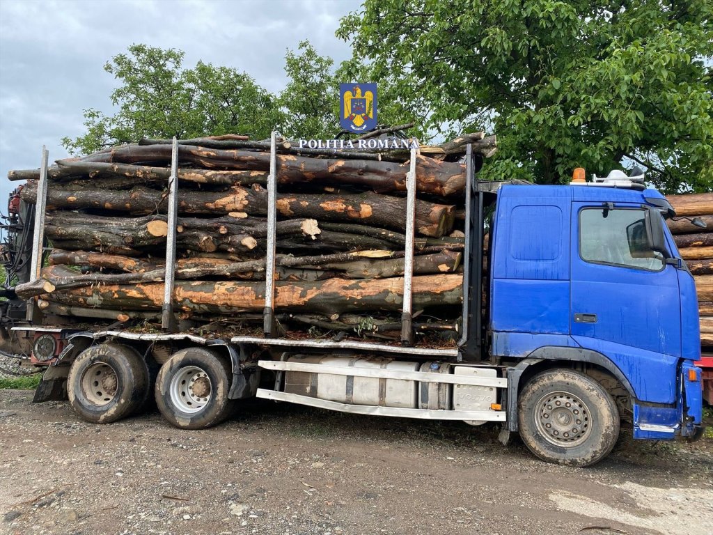 Transport ilegal de lemne, oprit de polițiști în Cluj. Lemnul și camionul, confiscate
