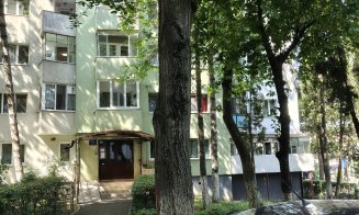 Pericol în Mănăştur. Peste cine se va prăbuşi copacul şubred de pe Clăbucet la prima furtună? / "De câte ori trec pe lângă el mă cuprinde frica..