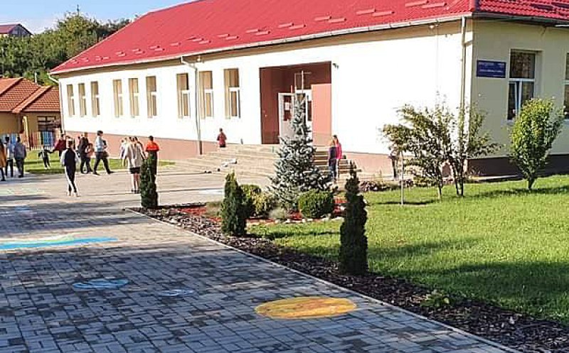 Profesoară din Cluj, arestată preventiv / A târât de păr cam 5 metri o elevă de 10 ani şi a insultat-o / VEZI "Soluţia pe scurt" a instanţei