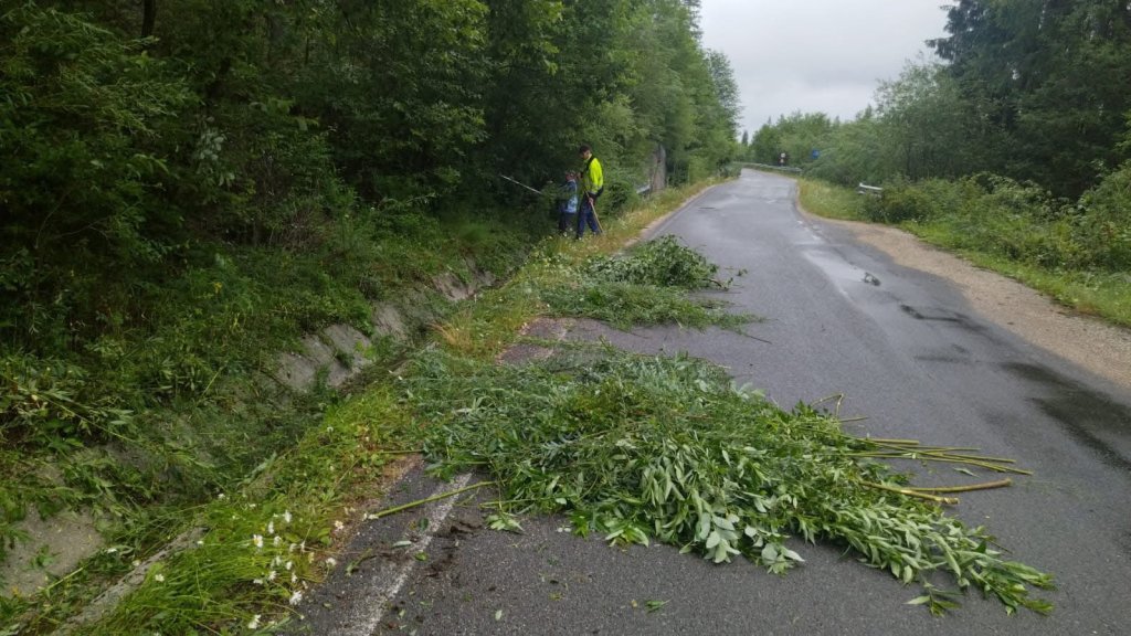 Drum turistic din Cluj, pus la punct: se taie vegetația, se curăță acostamentele și se desfundă șanțurile
