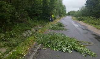 Drum turistic din Cluj, pus la punct: s-a tăiat vegetația, s-au curățat acostamentele și s-au desfundat șanțurile