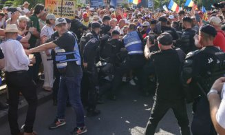 Protest cu cartofi, cuțite și îmbrânceli în Piața Victoriei din Capitală