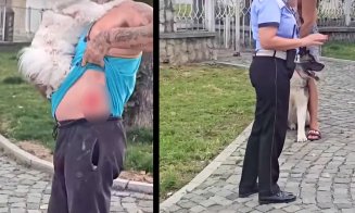 Atacat și mușcat de câine în centrul orașului. Rasă periculoasă, fără botniță