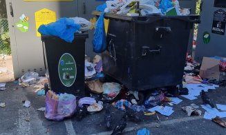 ”Oare tot Mănășturul arată așa cu noile containere? Nu se mai poate cu atâta mizerie și miros!!!”