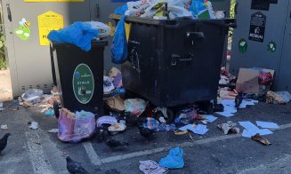 ”Oare tot Mănășturul arată așa cu noile containere? Nu se mai poate cu atâta mizerie și miros!!!”