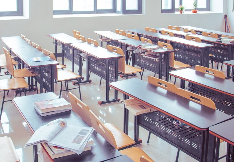 Sindicatele din Educaţie îi cer lui Nicușor Dan să nu promulge legea austerității: "Nu fiți părtaș la distrugerea învățământului românesc!"/ Proteste anunțate până la toamnă