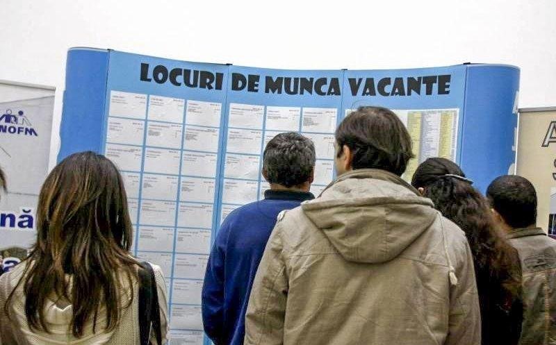 Cei mai mulți șomeri nu au studii sau au terminat doar gimnaziul. Doar 4% au făcut facultatea