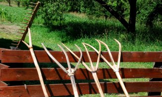 Tradiții clujene: Ce sărbătoreau oamenii de la sat pe 27 iulie. Duminică - hotarul dintre vară și toamnă