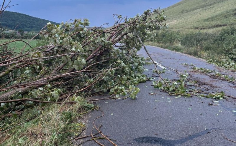 Rupere de nori la Cluj.  Bilanțul intervențiilor desfășurate de ISU Cluj în urma fenomenelor meteorologice de sâmbătă: acoperișuri smulse de vânt și arbori căzuți