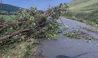 Rupere de nori la Cluj.  Bilanțul intervențiilor desfășurate de ISU Cluj în urma fenomenelor meteorologice de sâmbătă: acoperișuri smulse de vânt și arbori căzuți