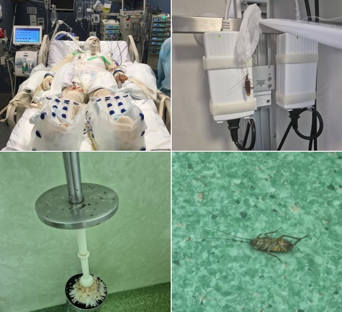 Anchetă după dezvăluirile cutremurătoare din "lagărul" de arși din Spitalul Floreasca: "Am început să ţip şi să mă rog de oricine să o iau de acolo"