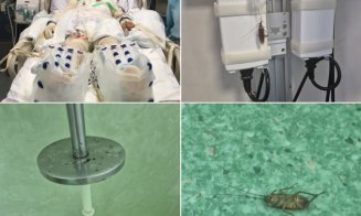 Anchetă după dezvăluirile din "lagărul" de arși din Spitalul Floreasca: suferință, gândaci și infecții
