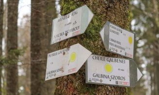 Destinație de weekend: Circuitul Cheile Galbenei, unul dintre cele mai frumoase din Munții Apuseni