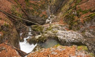 Destinație de weekend: Circuitul Cheile Galbenei, unul dintre cele mai frumoase din Munții Apuseni