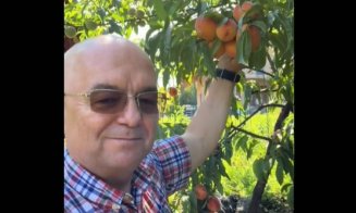 Emil Boc, surpriză dulce din grădina proprie: „Când culegi primele piersici bune…No, așa da!”