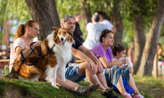 Vreme caldă la Cluj. Unde să ieși din casă: ghidul evenimentelor și activităților