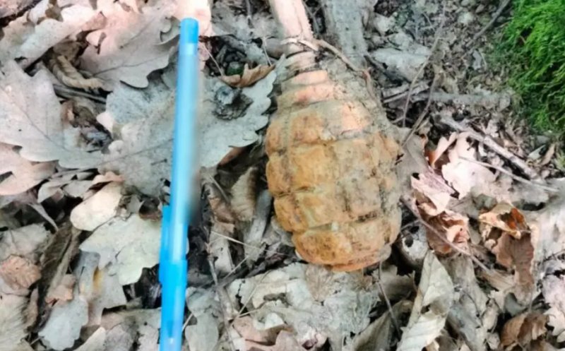 Descoperire periculoasă într-o pădure din Cluj. O grenadă a fost găsită întâmplător de un localnic