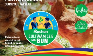 Savurează gustul verii cu fructe și legume gustoase românești, direct din filierele Auchan, acum în magazine
