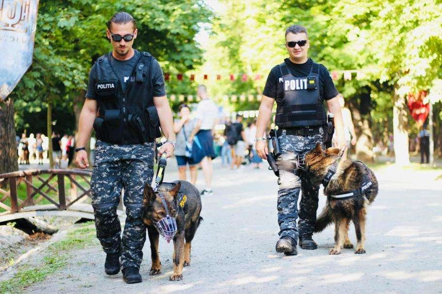 Securitate totală la UNTOLD X: Sute de polițiști din cinci județe, controale antidrog și câini specializați