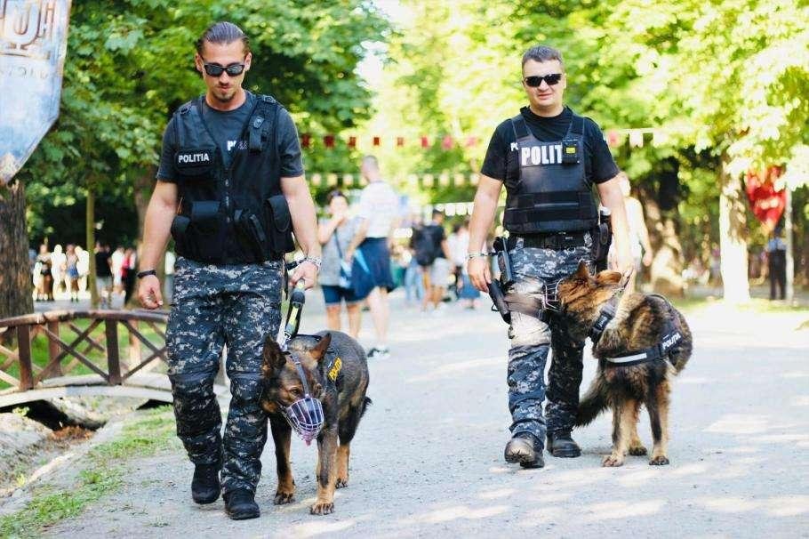 Provocări pentru autorități în a doua zi a festivalului Untold 2025: controale antidrog, urgențe medicale și un copil dispărut