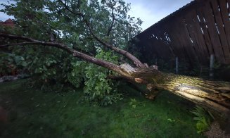 Prăpăd după vijelie într-o comună clujeană. Copaci doborâți și drumuri blocate, echipele de intervenție au muncit non-stop
