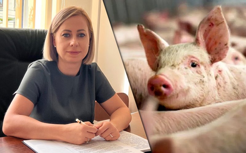 Ce mesaj a trimis DSVSA prefectului Clujului după depistarea focarului de pestă porcină africană într-o comună din județ