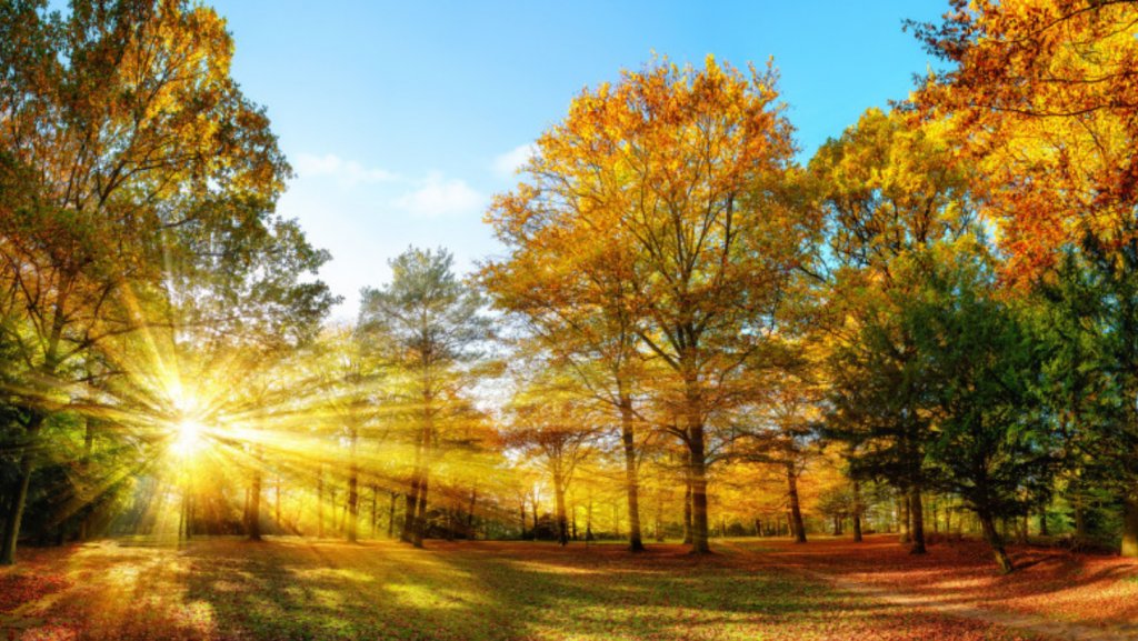 Cum va fi vremea la început de septembrie. Prognoza pentru o lună