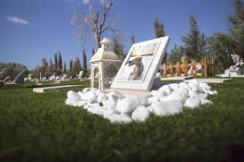 Unde va fi primul cimitir de animale din Cluj-Napoca. Proiectul, în consultare publică