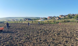 Lucrări de întreținere și protejare pe Lacul 4 din Câmpenești: "Investiții esențiale pentru sănătatea mediului și bunăstarea comunității din Apahida"