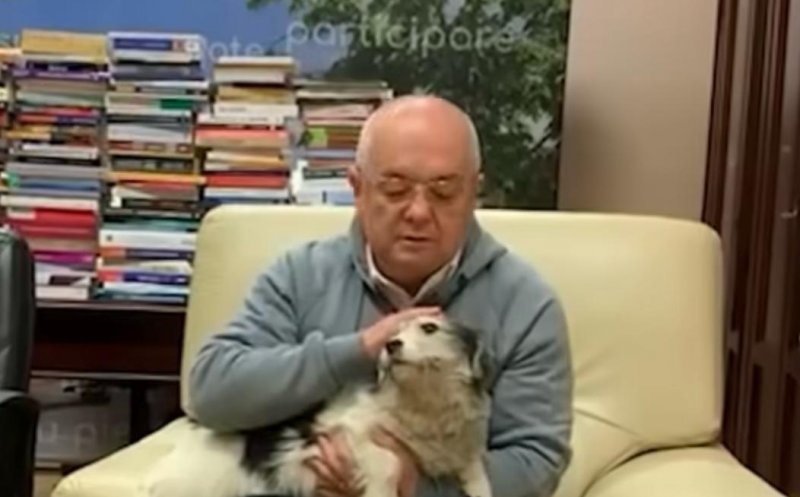 Clujenii care vin la Primărie vor putea fi însoțiți de animalele de companie