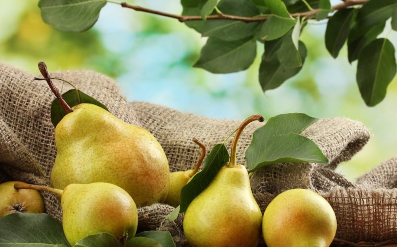 Beneficii pere: motive pentru care sa consumi aceste fructe