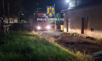 Încă a mai rămas lemn de furat la Belilș / Camion confiscat + Dosar Penal pentru transport ilegal de material lemnos