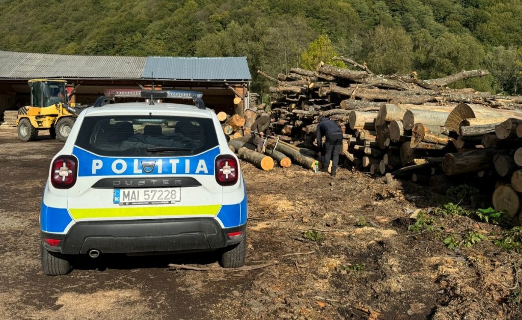 Afacere cu nereguli în Cluj: Lemn fără acte, sancțiuni și confiscare