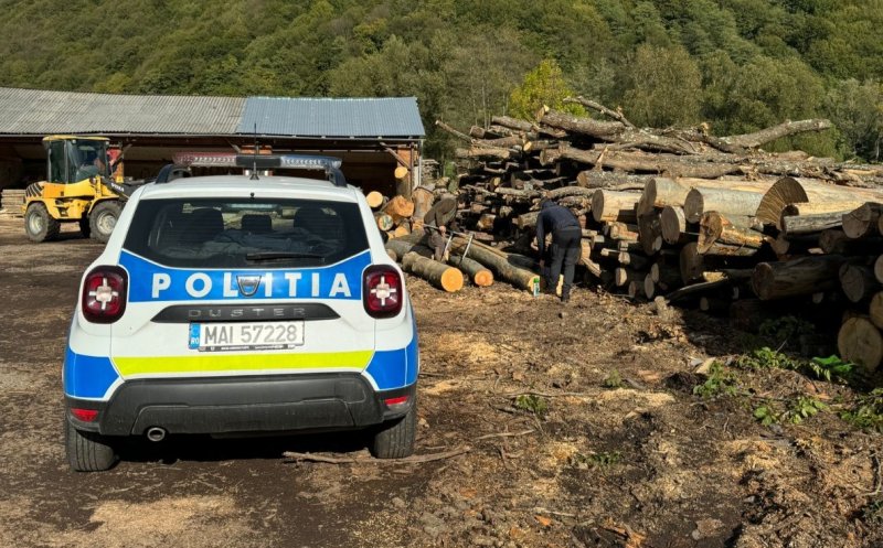 Afacere cu nereguli în Cluj: Lemn fără acte, sancțiuni și confiscare