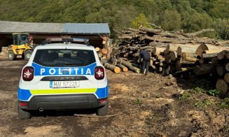 Afacere cu nereguli în Cluj: Lemn fără acte, sancțiuni și confiscare