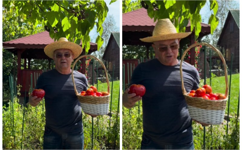 Emil Boc își prezintă recolta de roșii: „No, bună treabă, Doamne-ajută!”