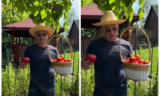 Emil Boc își prezintă recolta de roșii: „No, bună treabă, Doamne-ajută!”