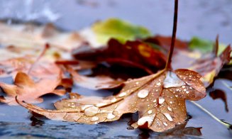 METEO: Scad temperaturile în Cluj. Ploi și în weekend