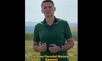 Mircea Abrudean avertizează: „Mii de hectare de pădure se usucă în Apuseni, inclusiv la Cluj, iar legea ne ține legați de mâini”