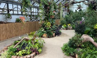 Ultima zi în care poți vizita expoziția de plante carnivore de la Grădina Botanică din Cluj