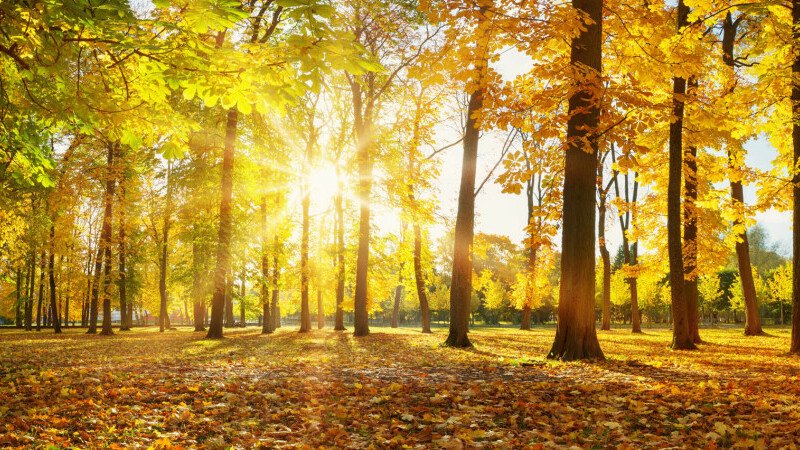 Vara încă nu se lasă dusă! Temperaturile pe final de septembrie, peste cele normale. Cum începe luna octombrie