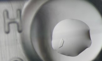 Premieră națională la Cluj: UBB a inaugurat primul laborator de cristalizare a proteinelor din România