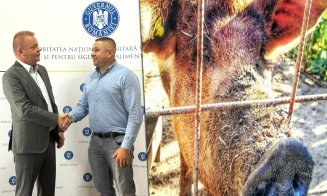 Expoziția de Animale din comuna Frata NU se mai anulează pe motiv de pestă porcină / Când va avea loc