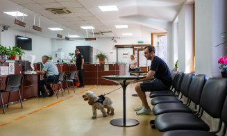 Clujul, oraș european: Cetățenii, cu pisicile și câinii la Primărie