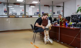 Clujul, oraș european: Cetățenii, cu pisicile și câinii la Primărie