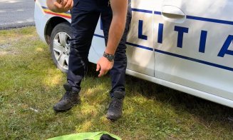 6 pui de câine, aruncați într-o prăpastie de sub un pod, în zona lacului Beliș / Se caută făptașii
