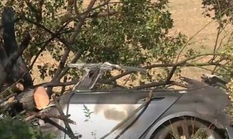 Incident ȘOCANT: Un bărbat și doi copii au ars de vii într-o Tesla, sub ochii salvatorilor care nu au reușit să deschidă ușile mașinii