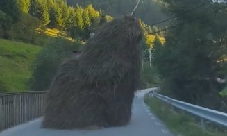 "Când ai crezut că le-ai văzut pe toate în viață..." Căpiță, la plimbare, pe drumurile din Cluj